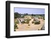 Carnac, Brittany Alignments at Kermario, c20th century-CM Dixon-Framed Photographic Print