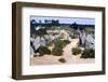 Carnac, Brittany Alignments at Kermario, Neolithic, 4500-2000 BC, (c20th century)-CM Dixon-Framed Photographic Print