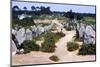 Carnac, Brittany Alignments at Kermario, Neolithic, 4500-2000 BC, (c20th century)-CM Dixon-Mounted Photographic Print