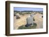 Carnac, Brittany Alignments at Menez, c20th century-CM Dixon-Framed Photographic Print