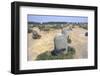 Carnac, Brittany Alignments at Menez, c20th century-CM Dixon-Framed Photographic Print