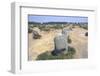 Carnac, Brittany Alignments at Menez, c20th century-CM Dixon-Framed Photographic Print