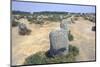 Carnac, Brittany Alignments at Menez, c20th century-CM Dixon-Mounted Photographic Print