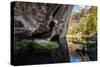Carnarvon Gorge National Park, Queensland, Australia-Mark A Johnson-Stretched Canvas