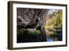 Carnarvon Gorge National Park, Queensland, Australia-Mark A Johnson-Framed Photographic Print