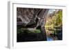 Carnarvon Gorge National Park, Queensland, Australia-Mark A Johnson-Framed Photographic Print