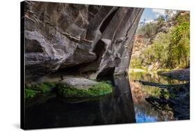 Carnarvon Gorge National Park, Queensland, Australia-Mark A Johnson-Stretched Canvas