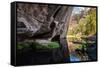 Carnarvon Gorge National Park, Queensland, Australia-Mark A Johnson-Framed Stretched Canvas
