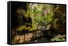 Carnarvon Gorge National Park, Queensland, Australia-Mark A Johnson-Framed Stretched Canvas