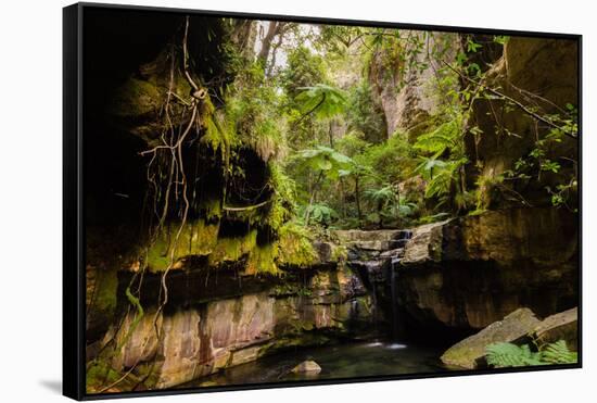 Carnarvon Gorge National Park, Queensland, Australia-Mark A Johnson-Framed Stretched Canvas