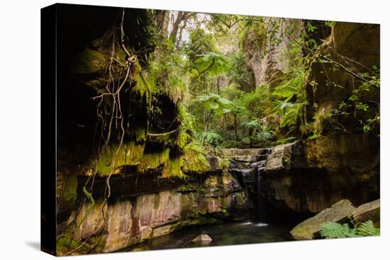 Carnarvon Gorge National Park, Queensland, Australia-Mark A Johnson-Stretched Canvas