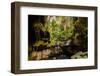 Carnarvon Gorge National Park, Queensland, Australia-Mark A Johnson-Framed Photographic Print