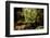 Carnarvon Gorge National Park, Queensland, Australia-Mark A Johnson-Framed Photographic Print