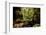 Carnarvon Gorge National Park, Queensland, Australia-Mark A Johnson-Framed Photographic Print