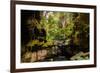 Carnarvon Gorge National Park, Queensland, Australia-Mark A Johnson-Framed Photographic Print