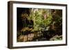 Carnarvon Gorge National Park, Queensland, Australia-Mark A Johnson-Framed Photographic Print