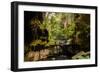 Carnarvon Gorge National Park, Queensland, Australia-Mark A Johnson-Framed Photographic Print