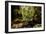 Carnarvon Gorge National Park, Queensland, Australia-Mark A Johnson-Framed Photographic Print