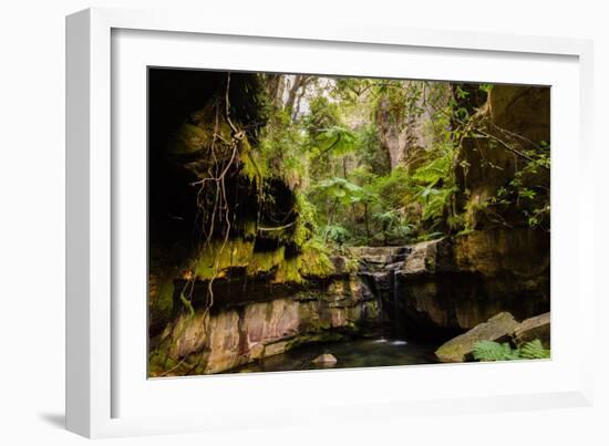 Carnarvon Gorge National Park, Queensland, Australia-Mark A Johnson-Framed Photographic Print