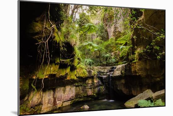 Carnarvon Gorge National Park, Queensland, Australia-Mark A Johnson-Mounted Photographic Print