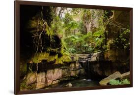 Carnarvon Gorge National Park, Queensland, Australia-Mark A Johnson-Framed Photographic Print