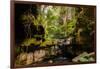 Carnarvon Gorge National Park, Queensland, Australia-Mark A Johnson-Framed Photographic Print