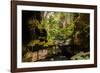 Carnarvon Gorge National Park, Queensland, Australia-Mark A Johnson-Framed Photographic Print