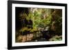 Carnarvon Gorge National Park, Queensland, Australia-Mark A Johnson-Framed Photographic Print