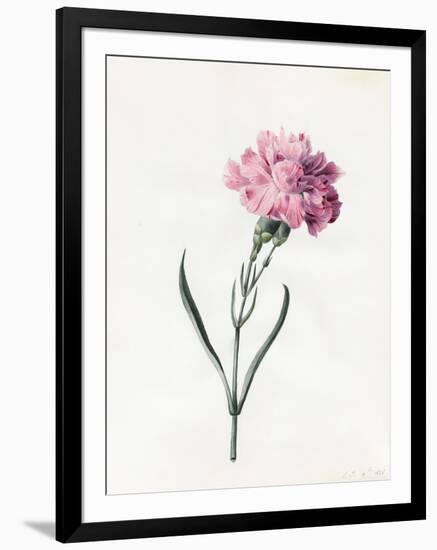 Carnation, 1826-Louise D'Orleans-Framed Giclee Print