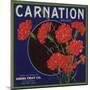 Carnation Brand - Anaheim, California - Citrus Crate Label-Lantern Press-Mounted Art Print
