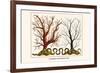 Carnation Coral, Black Coral-Albertus Seba-Framed Premium Giclee Print