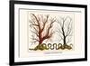 Carnation Coral, Black Coral-Albertus Seba-Framed Premium Giclee Print