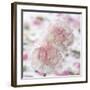 Carnation Creation IV-Joseph Eta-Framed Art Print