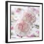 Carnation Creation IV-Joseph Eta-Framed Art Print