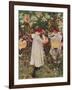 Carnation, Lily, Lily, Rose, 1885-86, (1938)-John Singer Sargent-Framed Giclee Print