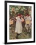 Carnation, Lily, Lily, Rose, 1885-86, (1938)-John Singer Sargent-Framed Giclee Print