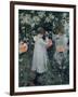 Carnation, Lily, Lily, Rose-John Singer Sargent-Framed Giclee Print