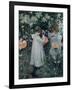 Carnation, Lily, Lily, Rose-John Singer Sargent-Framed Giclee Print