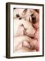 Carnation, WA. Gloucester Old Spot piglets nursing.-Janet Horton-Framed Photographic Print