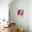 Carnation-Sabina Rosch-Photographic Print displayed on a wall