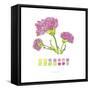 Carnation-Lisa Katharina-Framed Stretched Canvas