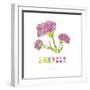 Carnation-Lisa Katharina-Framed Giclee Print