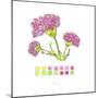 Carnation-Lisa Katharina-Mounted Giclee Print