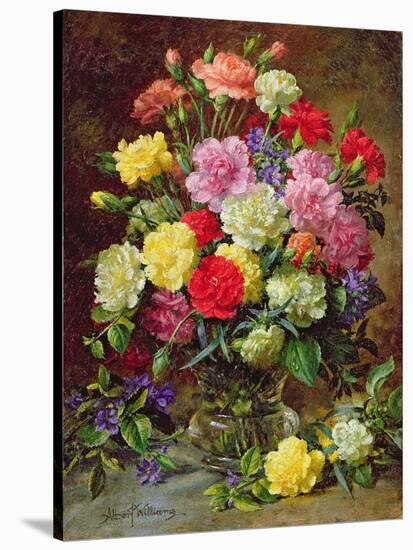 Carnations of Radiant Colours-Albert Williams-Stretched Canvas