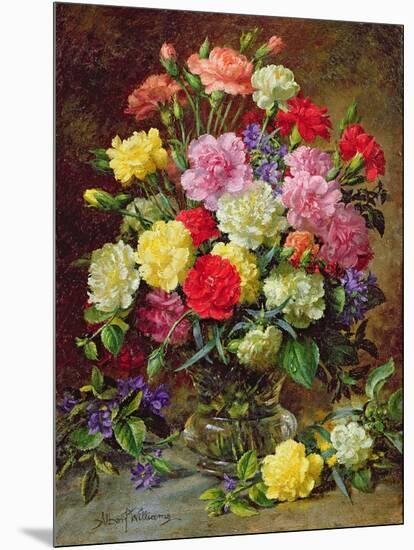 Carnations of Radiant Colours-Albert Williams-Mounted Giclee Print