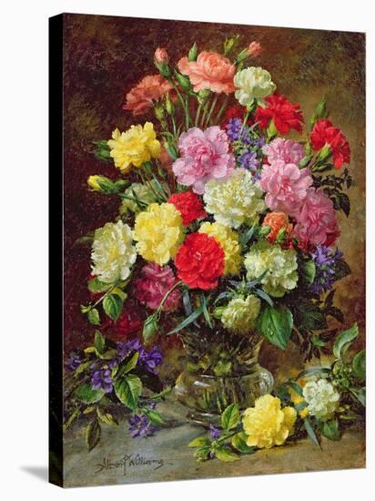 Carnations of Radiant Colours-Albert Williams-Stretched Canvas