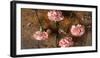 Carnations on the Brown Stone Table Top View-Denis Karpenkov-Framed Photographic Print