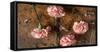 Carnations on the Brown Stone Table Top View-Denis Karpenkov-Framed Stretched Canvas