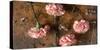 Carnations on the Brown Stone Table Top View-Denis Karpenkov-Stretched Canvas