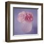 Carnations-Masao Ota-Framed Art Print